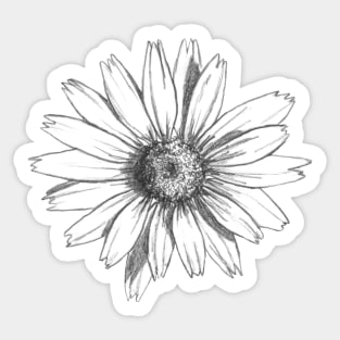 Daisy Flower Sticker